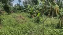 A picture of Plot for sale