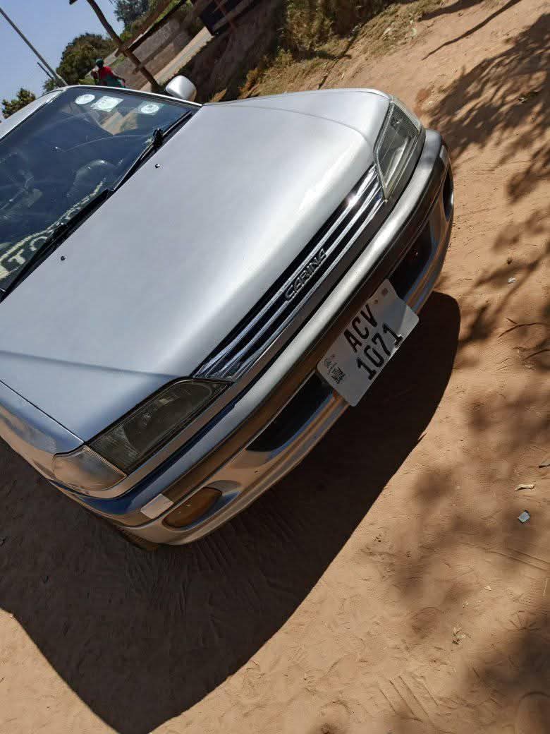 zed cars_under_50pin