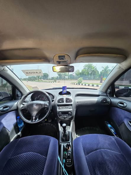 A picture of Peugeot 206