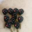 A picture of All kind of keys and Remote