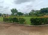 A picture of 