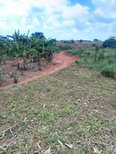 A picture of 50 ACRES OF LAND AT KAPEEKA
