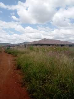 stands