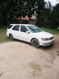 A picture of Toyota Vista Ardeo