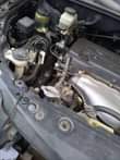 A picture of Harrier