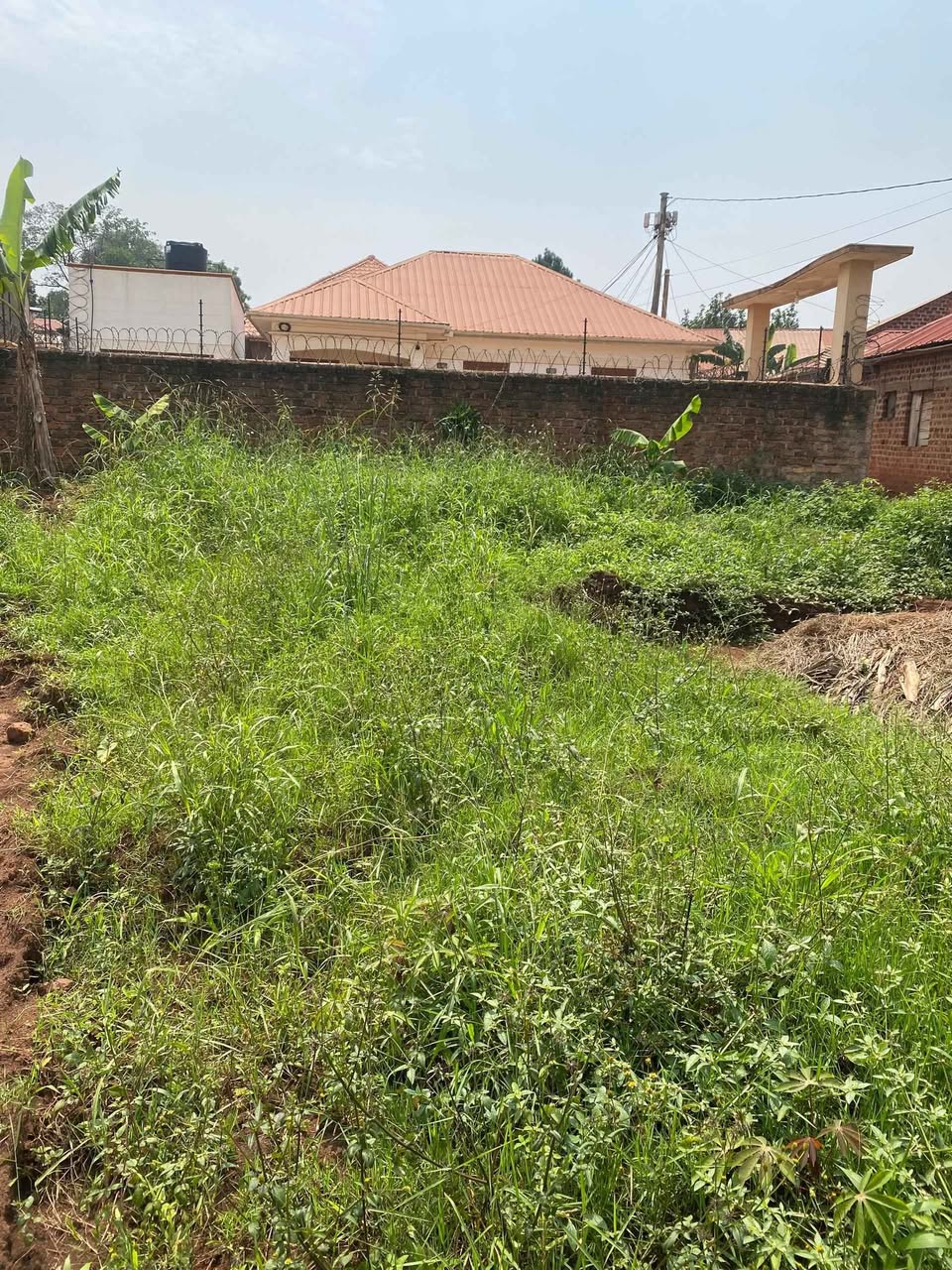 A picture of Ndagano