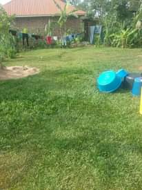 A picture of Plots for sale wakiso Busiro naluvule