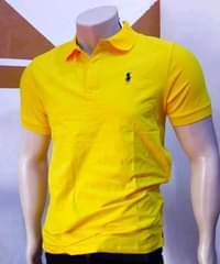 A picture of Polo t.shirts
