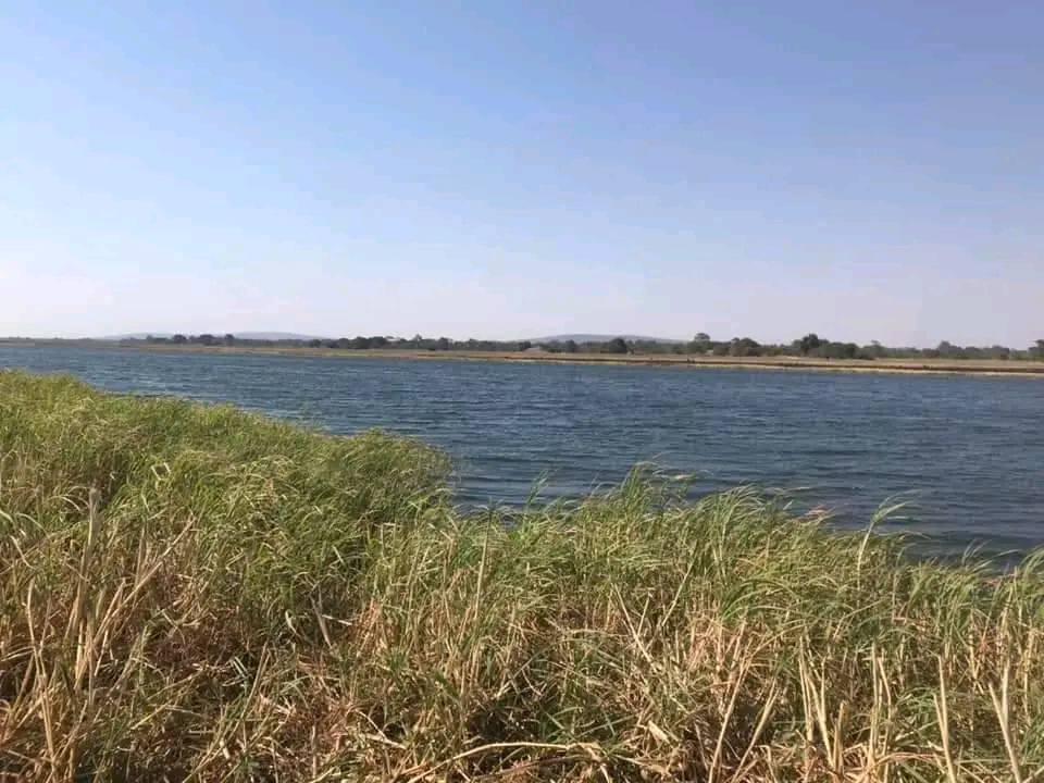 zambia plots