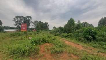 A picture of Quick sale 50 100 in kasanje bunjo at only shs