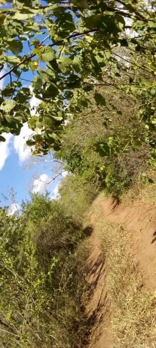 A picture of Shamba la eka 200 linauzwa lote milioni 34000000