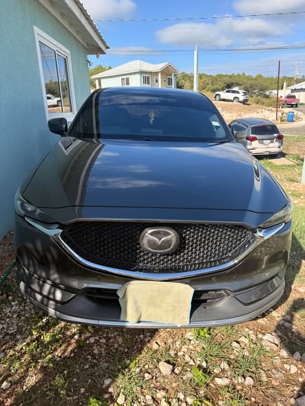 2019 cars