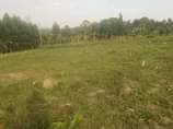 A picture of Matugga kalasa cheap but nice