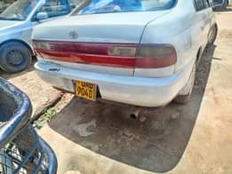 A picture of 0703704731