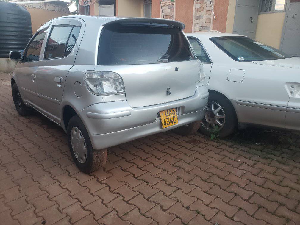 A picture of Vitz