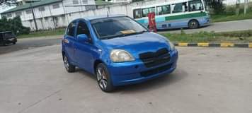 A picture of Vitz