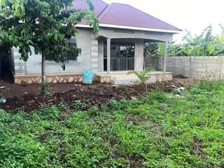 A picture of Newly built House for sale in Mukono Nsube at 160m