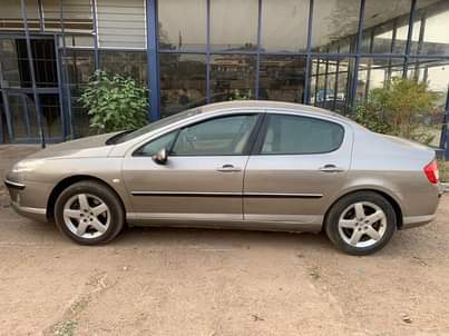 A picture of Peugeot 407 executive