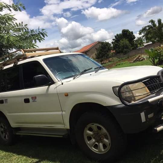 used toyota prado