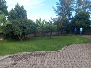 A picture of Standalone house home for rent in mukono town