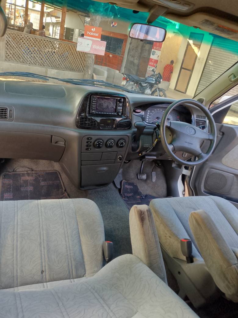 A picture of Noah Sr 50
