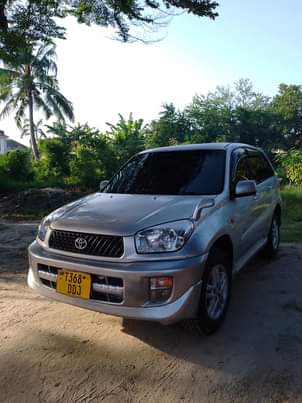 A picture of Rav4 kill time