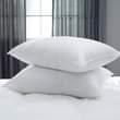 A picture of Air bed pillows 0781943565