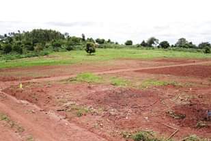A picture of PLOTS OF LAND ON SALE