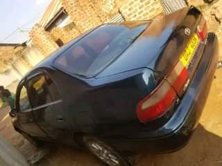 Robert K.