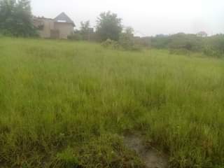 A picture of Viwanja
