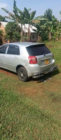 A picture of Allex at 20.5m good condition buy and drive call me