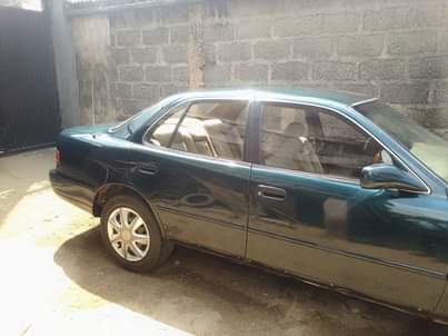A picture of Camry orobo