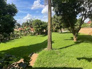 A picture of House for sale in Kira buwate