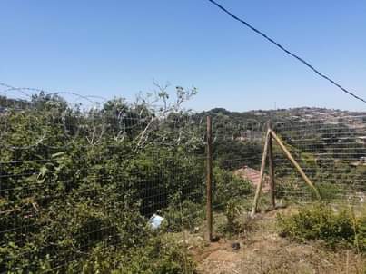 KZN C.