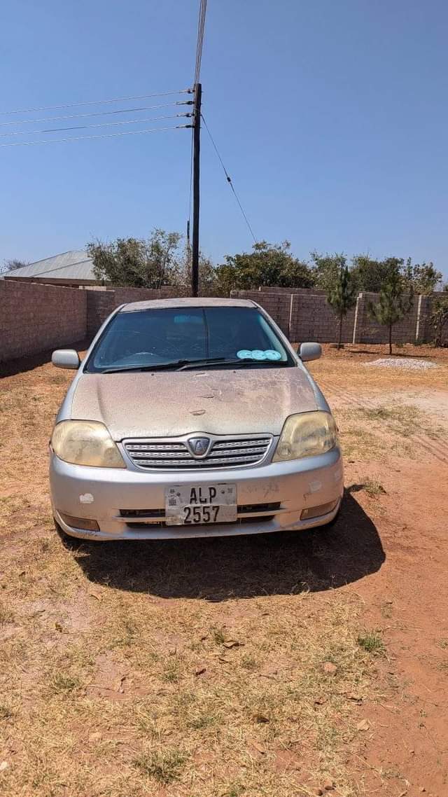 used toyota runx