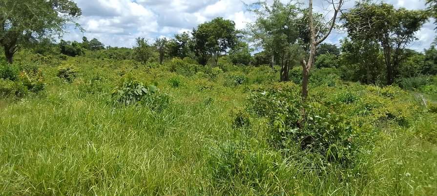 A picture of ZIMEBAKI HEKA 15 SHAMBA LIPO MZENGA WILAYA YA KISARAWE MKOA