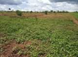 A picture of 30 acres in matuga kanyanda