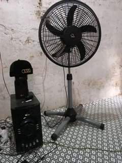 fans