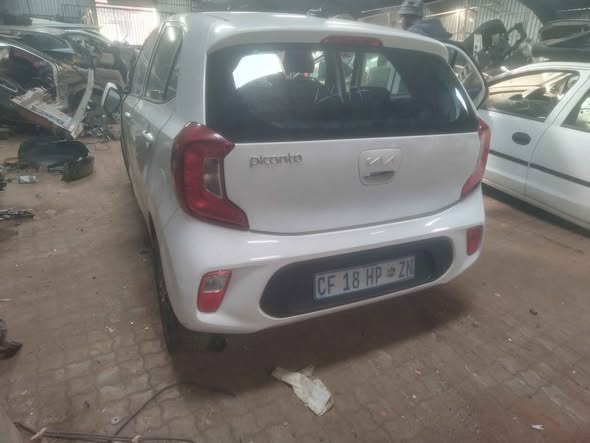 kia picanto under r50000