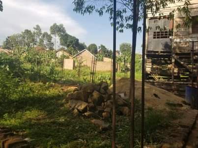 A picture of Land