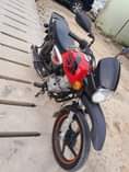 A picture of Boxer imenyooka haiana kipengere Full document bei 1000000 tuuu pigaaa