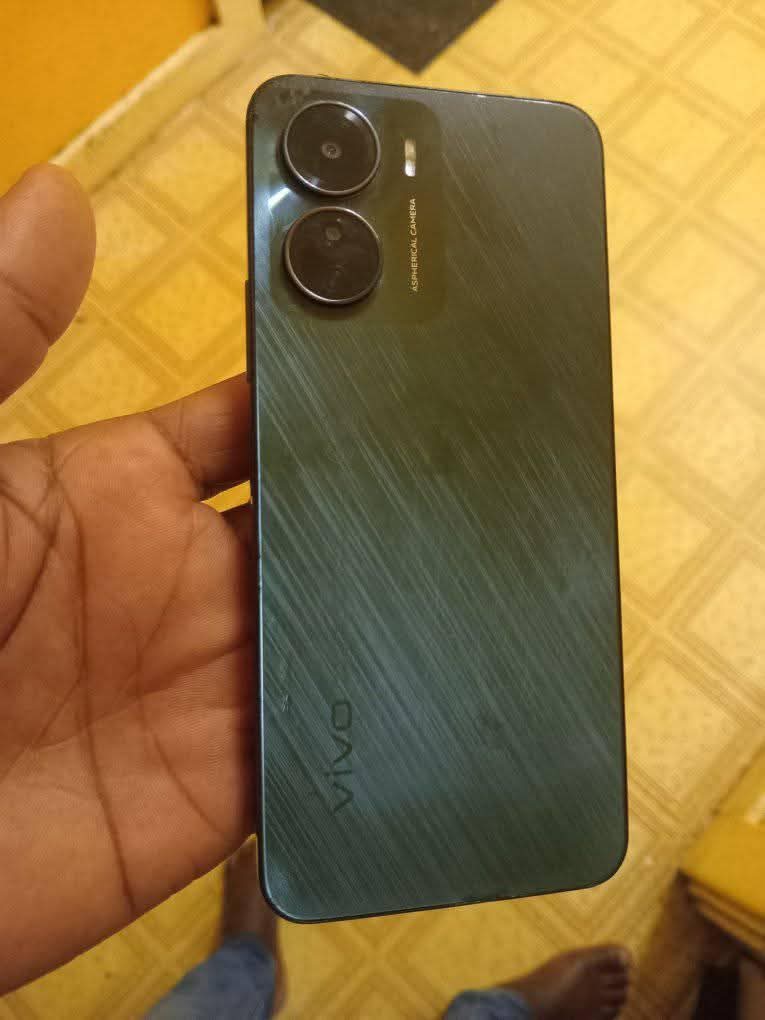 polo vivo