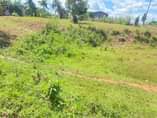 A picture of Plots for sale