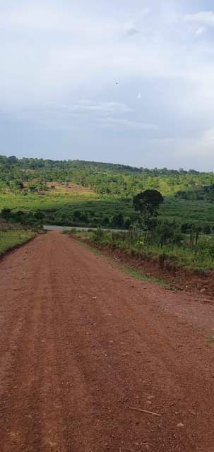 houses hoima