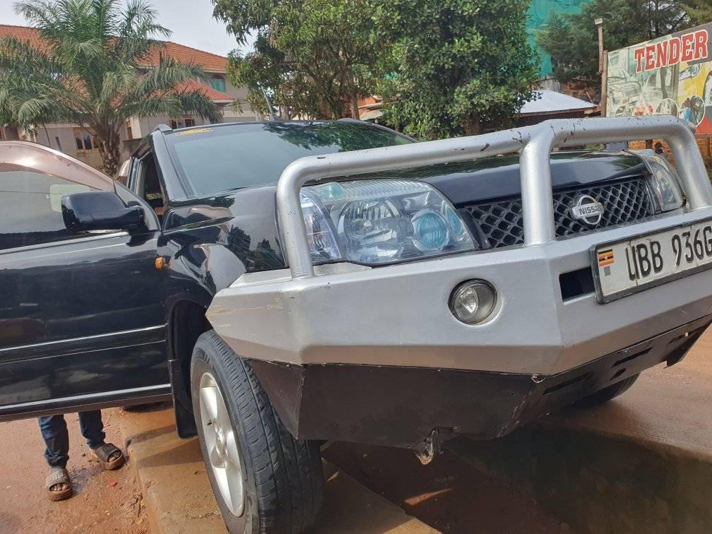 A picture of X trail