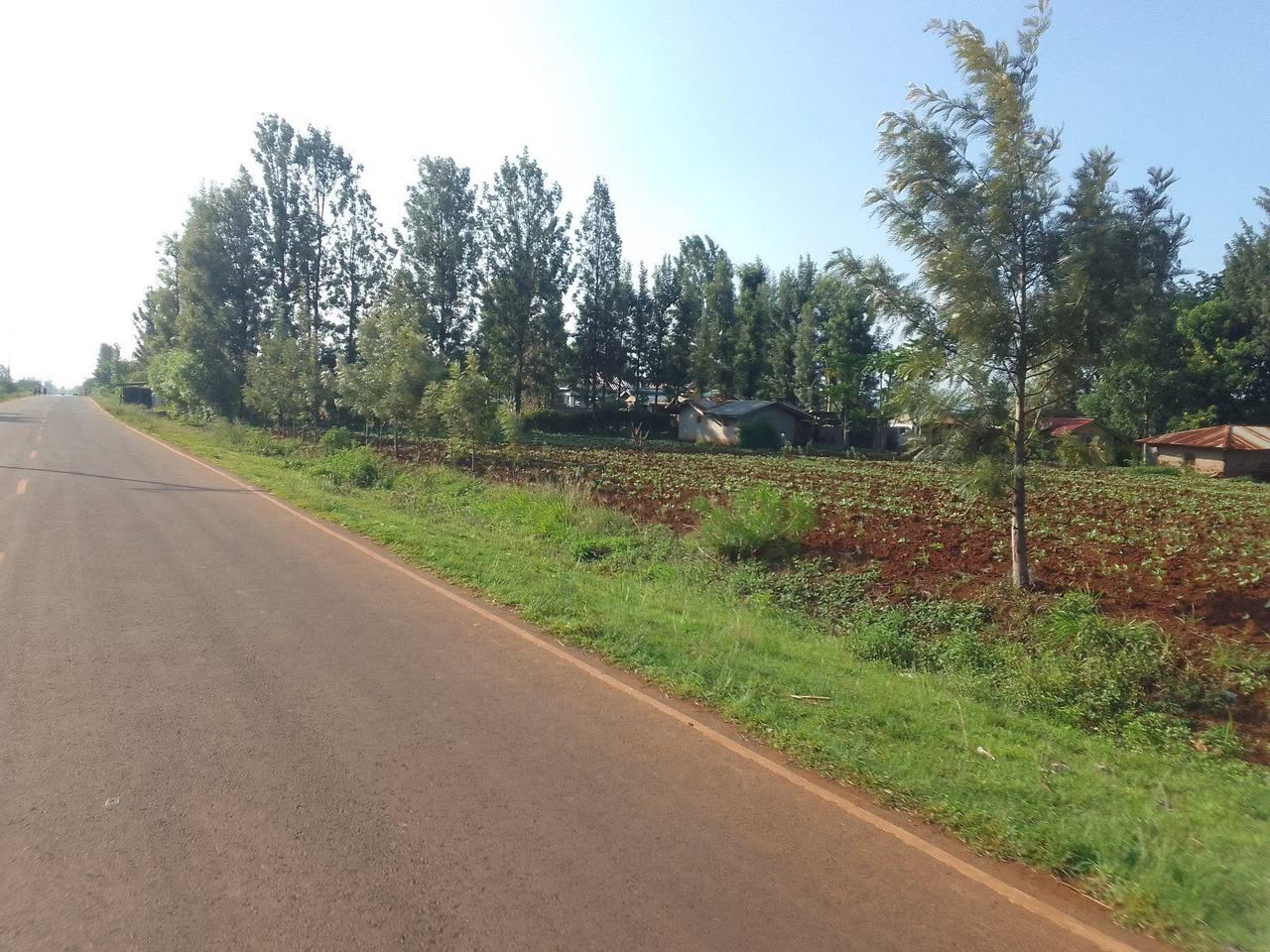 50 100 plots