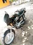 A picture of Chanik dar