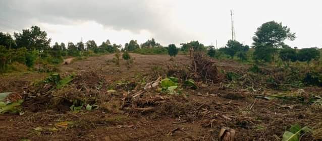 A picture of Plots of land