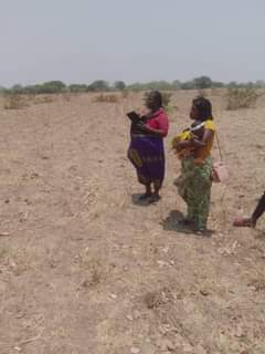 mwembeshi
