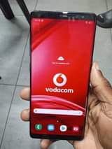 Rayvanny M.